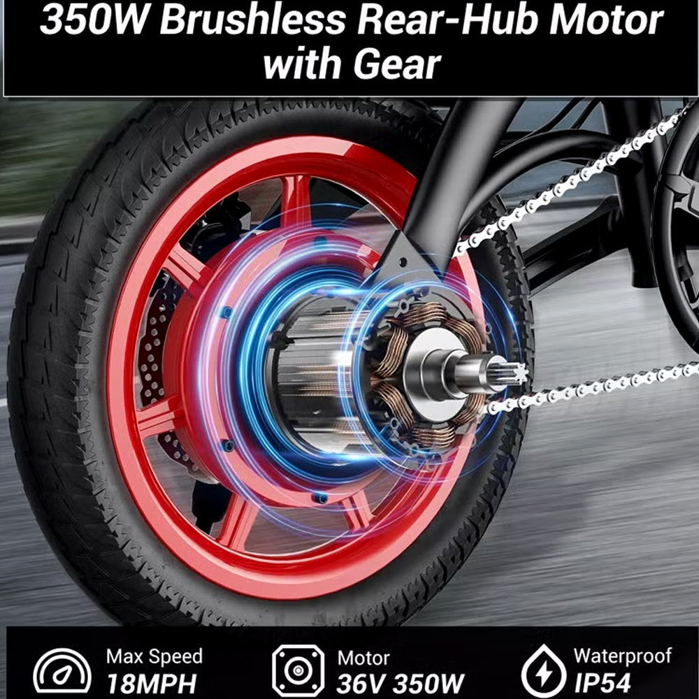 Wind Horse C19 Folding Electric Bike — 1-Year Warranty Included